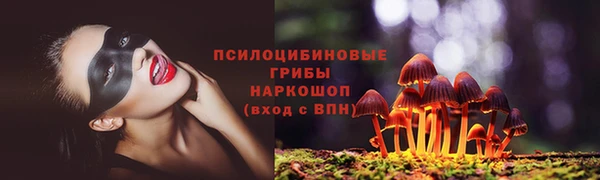 соль курить ск Бородино