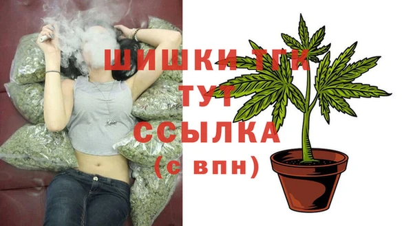мяу мяу мука Рославль