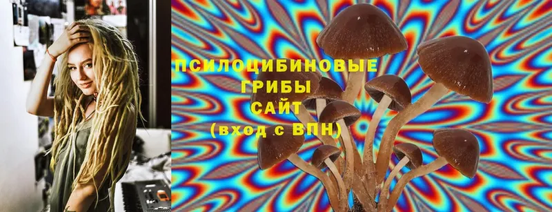 Галлюциногенные грибы MAGIC MUSHROOMS  блэк спрут tor  Великие Луки 