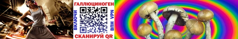 Псилоцибиновые грибы MAGIC MUSHROOMS  Великие Луки 