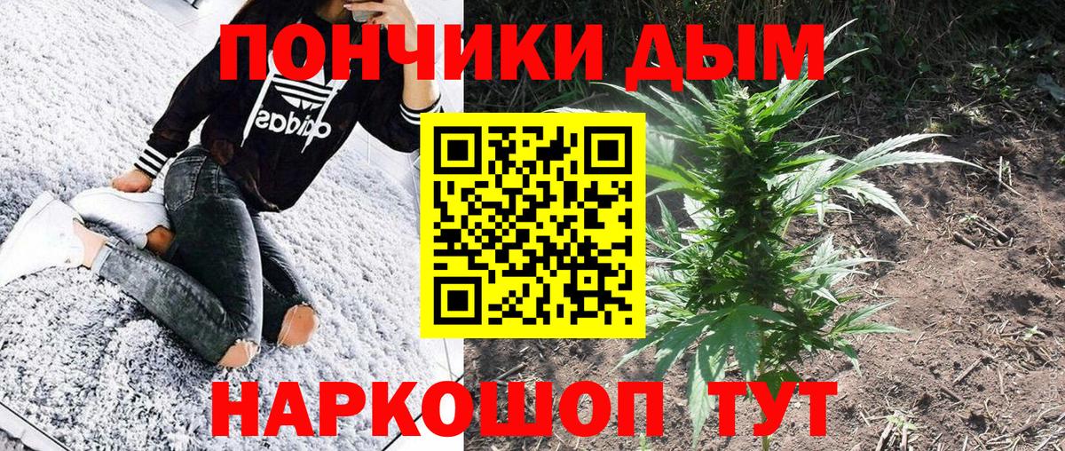 Бошки марихуана гибрид  Вход с VPN  Бошки Шишки конопля  Великие Луки 